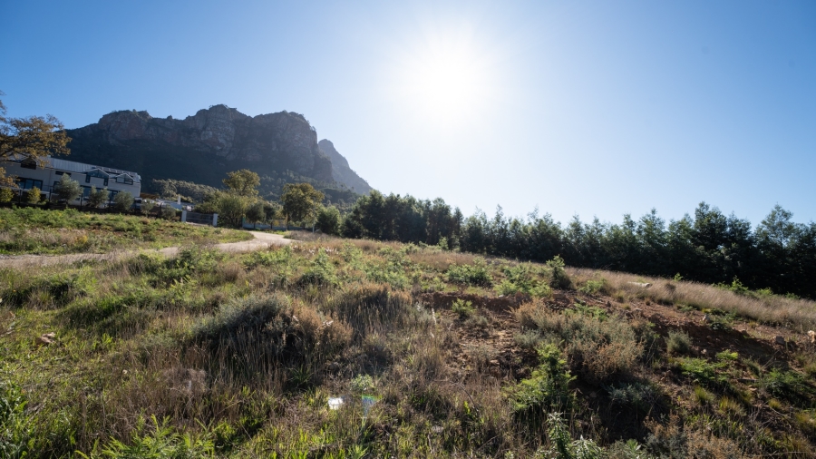 0 Bedroom Property for Sale in Johannesdal Western Cape